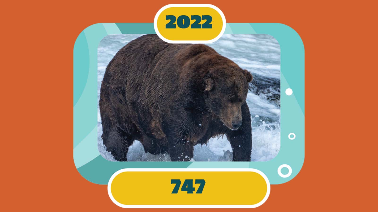 百夫長旅遊_美洲_美國阿拉斯加_卡特邁國家公園_胖雄週選拔747(1)