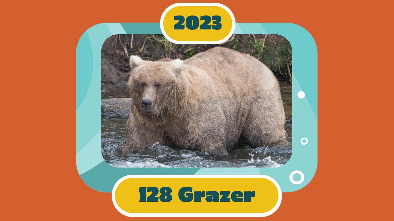 百夫長旅遊_美洲_美國阿拉斯加_卡特邁國家公園_胖雄週選拔Grazer