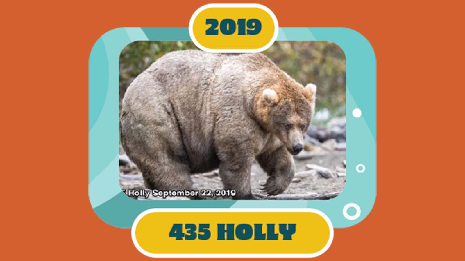 百夫長旅遊_美洲_美國阿拉斯加_卡特邁國家公園_胖雄週選拔Holly