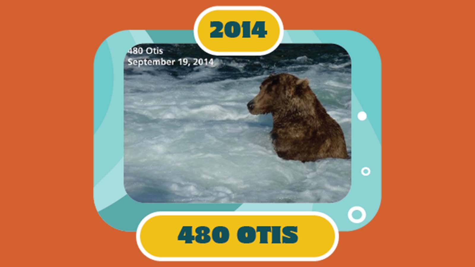 百夫長旅遊_美洲_美國阿拉斯加_卡特邁國家公園_胖雄週選拔otis