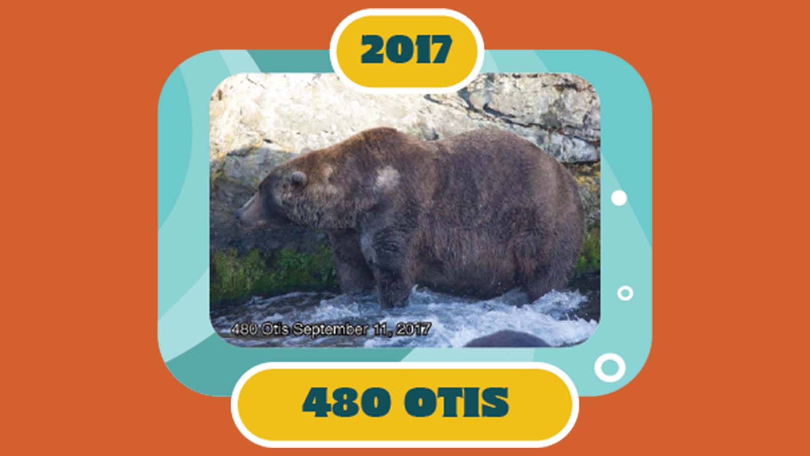 百夫長旅遊_美洲_美國阿拉斯加_卡特邁國家公園_胖雄週選拔otis(02)