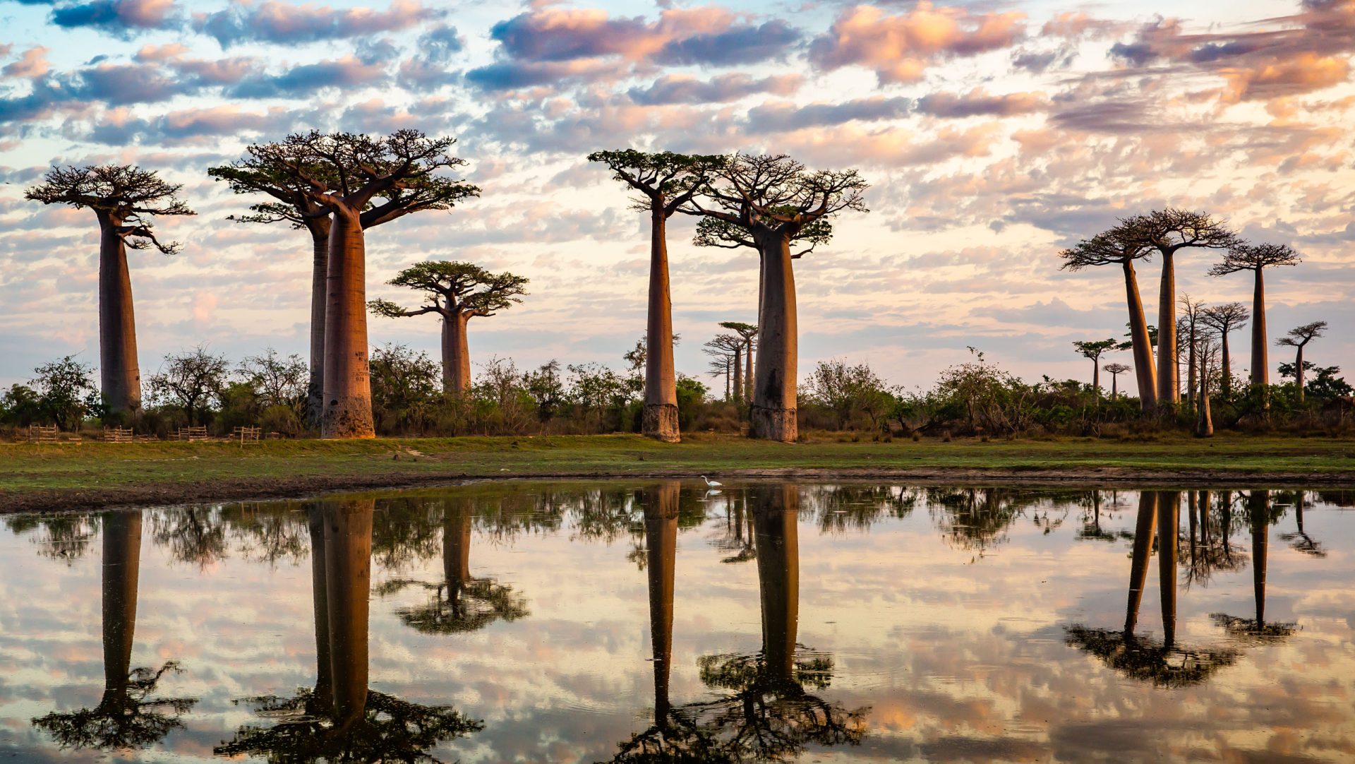 馬達加斯加．模里西斯｜印度洋雙子星3.0版