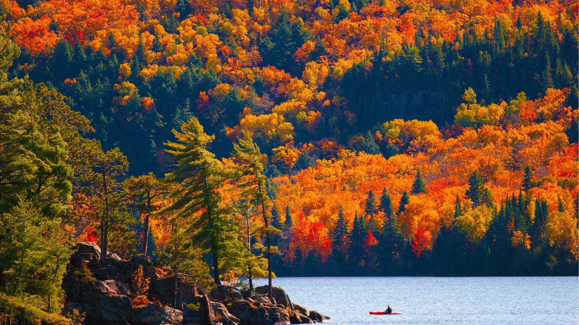 受保護的內容: 加拿大東岸｜瘋楓葉－七彩璀璨楓彩季