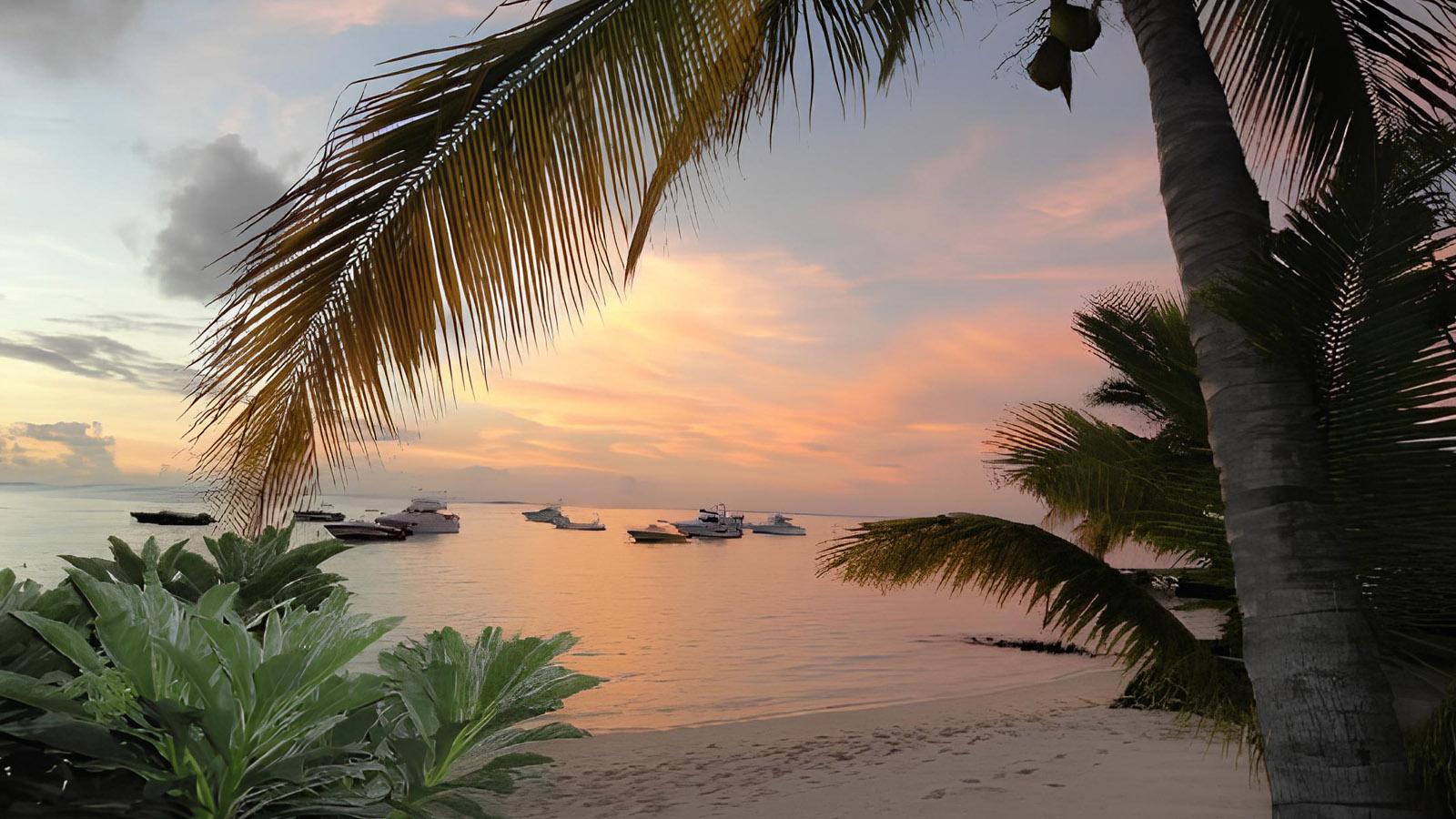 百夫長旅遊_東非_馬達加斯加_莫恩山_LeMorneBrabant04