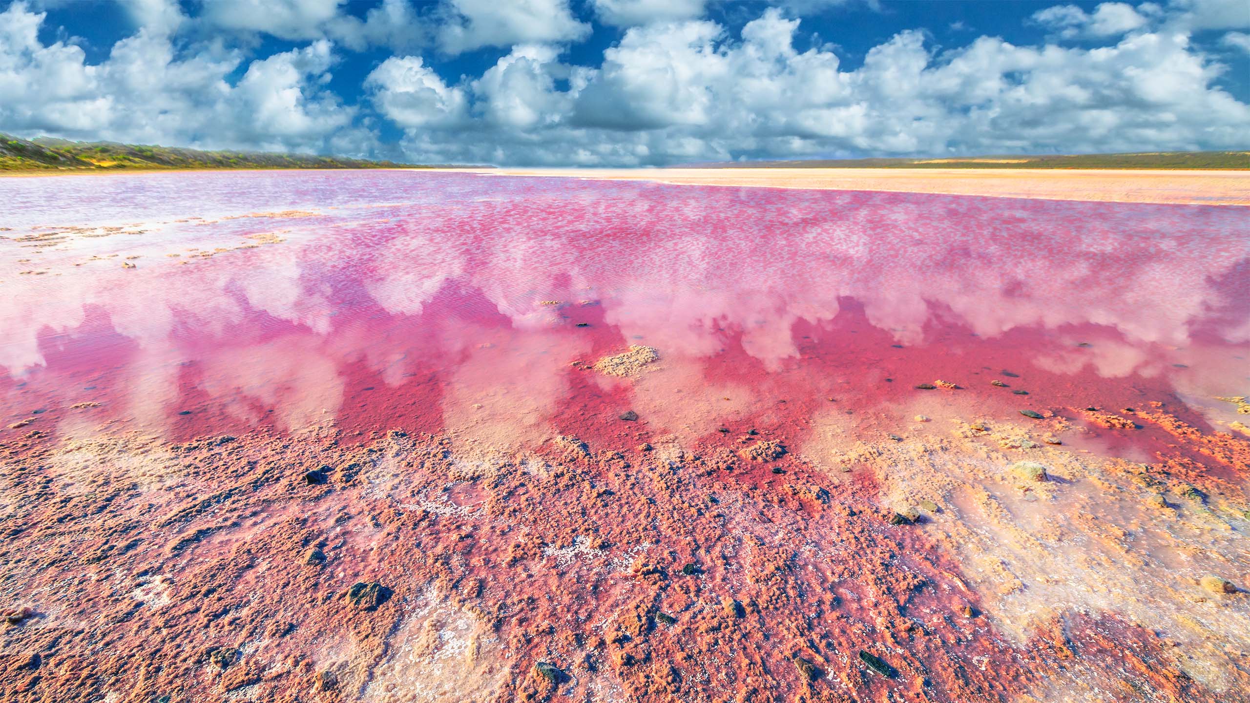 澳洲之大｜西澳．東澳大不同—你不知道的西澳州？！ - 百夫長旅行社｜Centurion Travel & Tourism