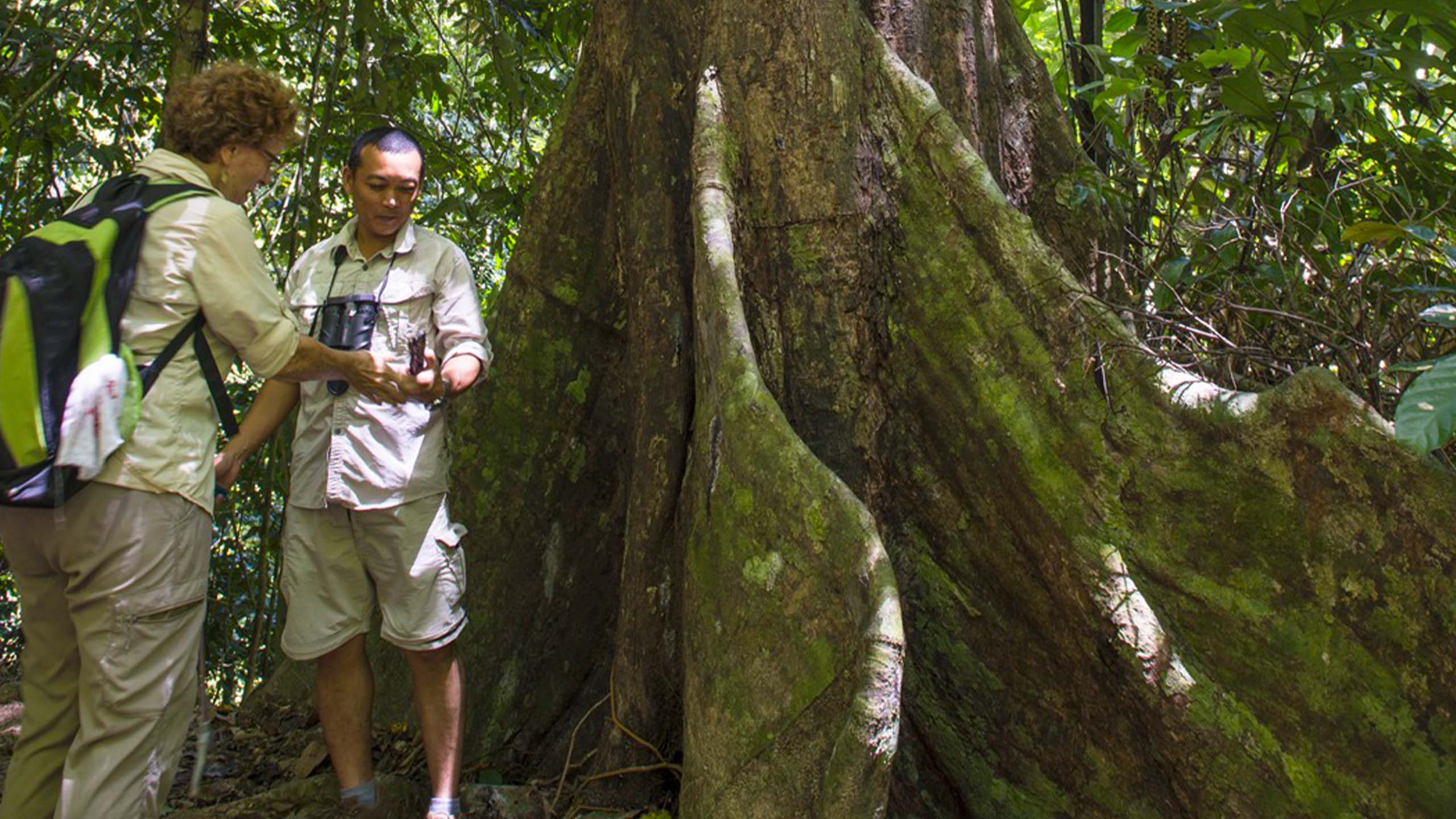 百夫長旅遊_亞洲_馬來西亞_沙巴_叢林芬多精之旅