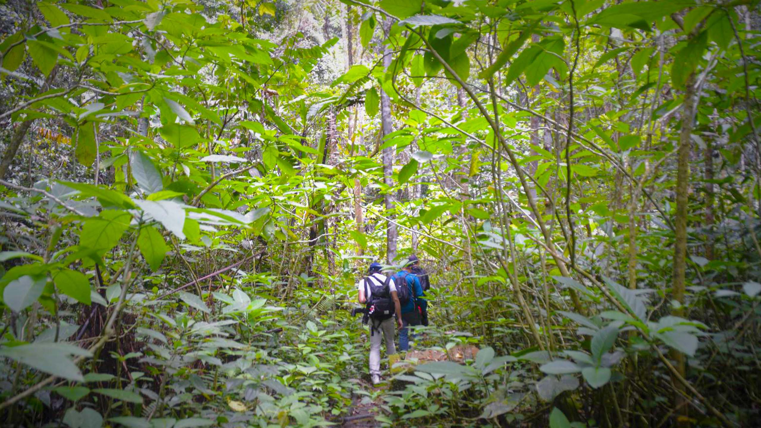 百夫長旅遊_亞洲_馬來西亞_沙巴_當地導遊專業解說