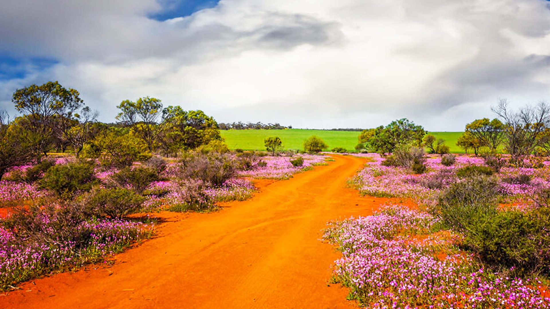 塔斯馬尼亞｜追尋南境最純淨的夢 13日