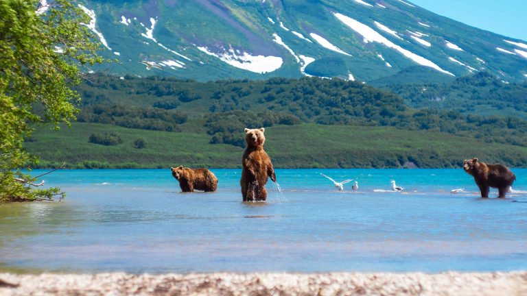 百夫長旅遊_亞洲_俄羅斯_堪察加半島、庫頁島_主圖