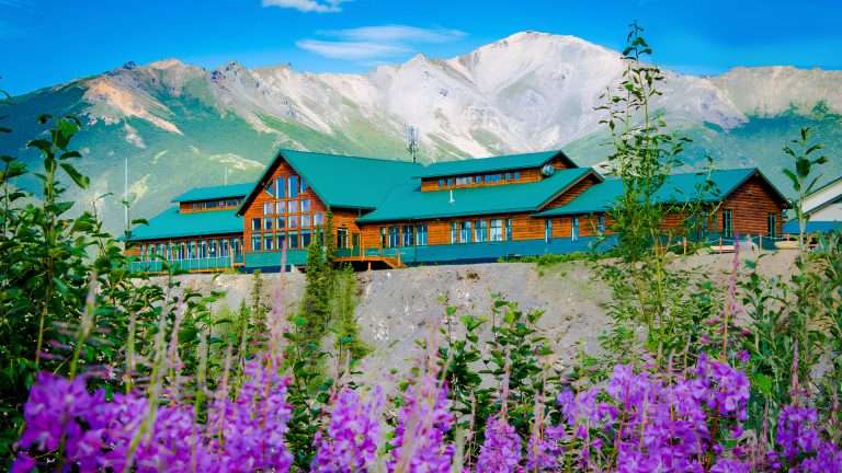 百夫長旅遊_北美_阿拉斯加_棕熊_Grande_Denali_Lodge03