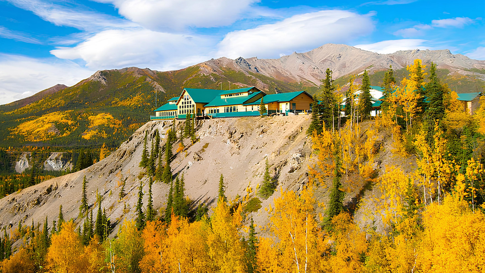 百夫長旅遊_北美_阿拉斯加_棕熊_Grande_Denali_Lodge06