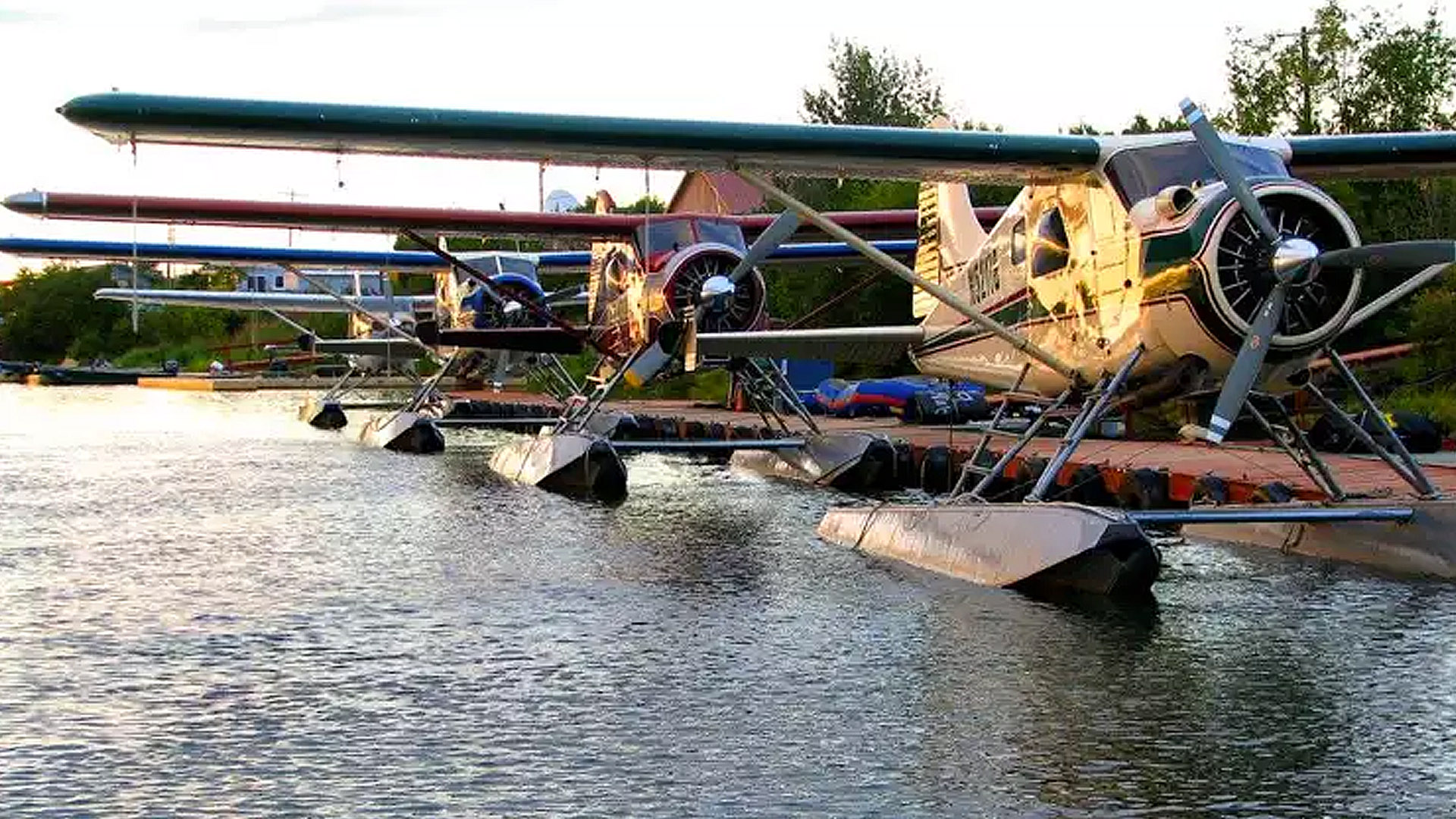 百夫長旅遊_北美_阿拉斯加_棕熊_King_Salmon_Lodge05