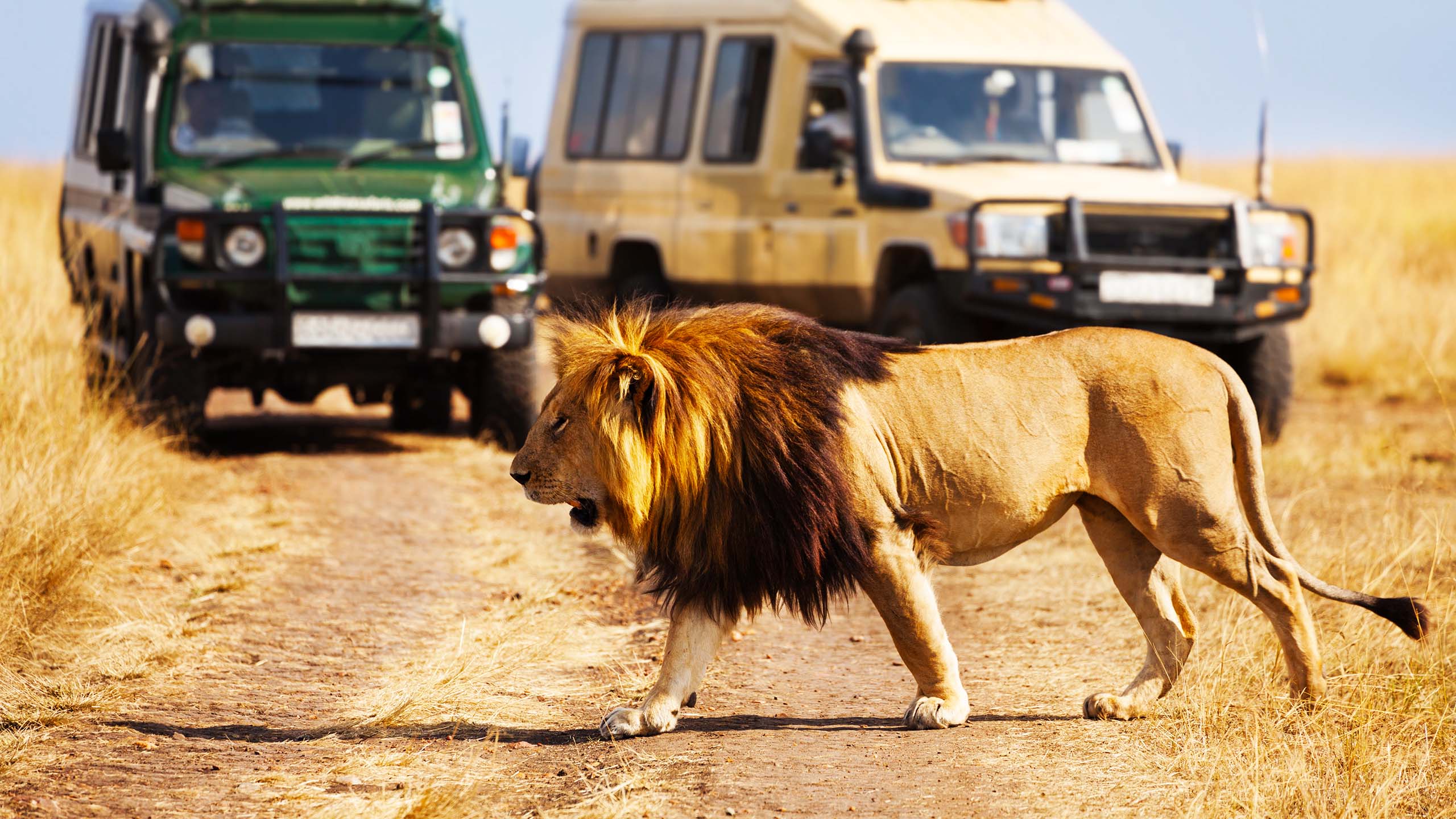 百夫長旅行社_非洲_肯亞_遊獵Safari