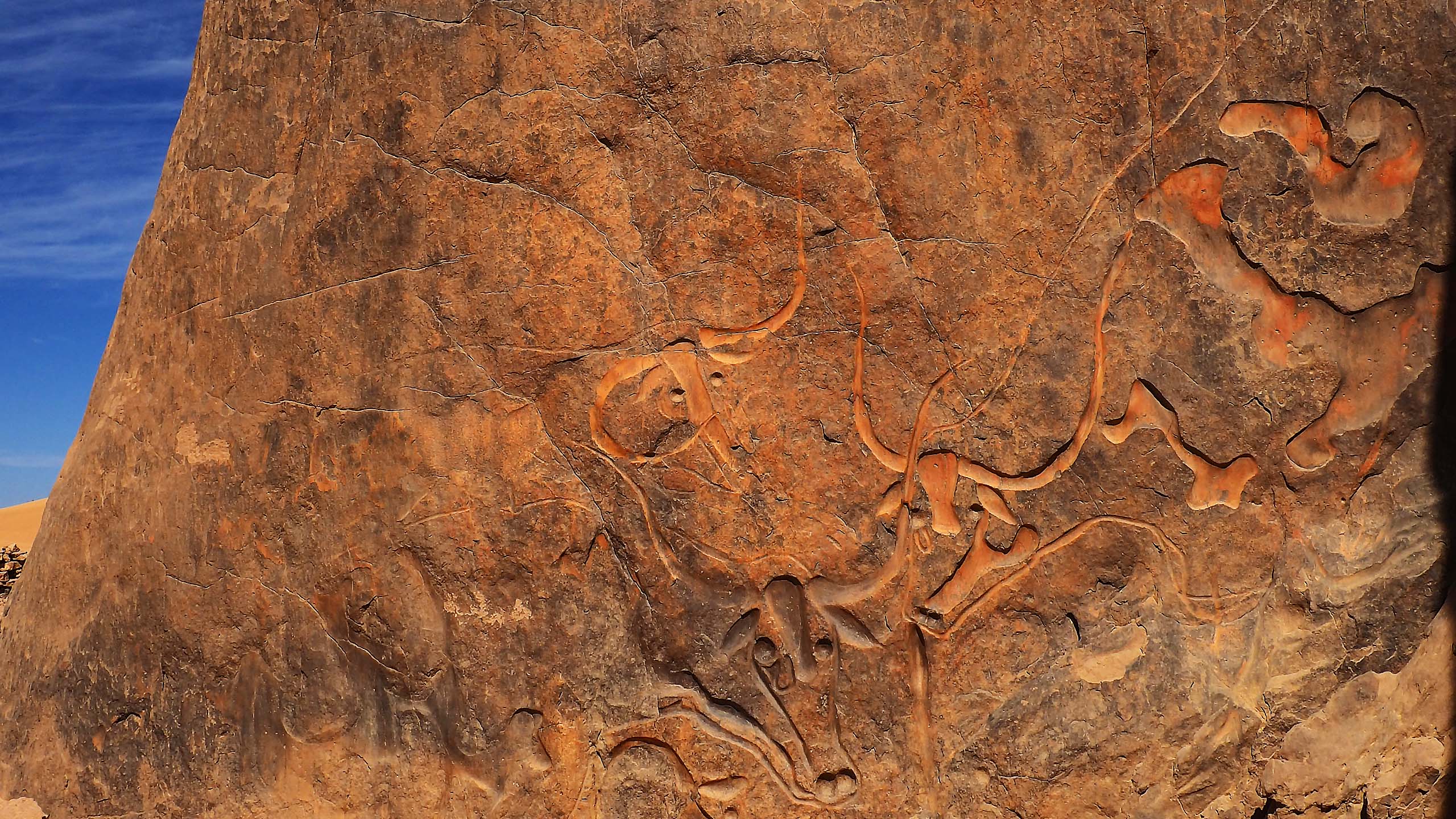 百夫長旅遊_非洲_阿爾及利亞圖庫_主圖1