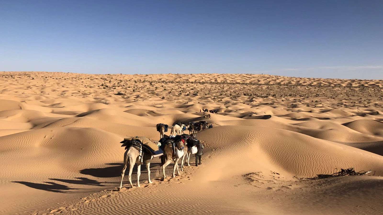 突尼西亞靜謐奢華四季- 百夫長旅行社｜Centurion Travel & Tourism