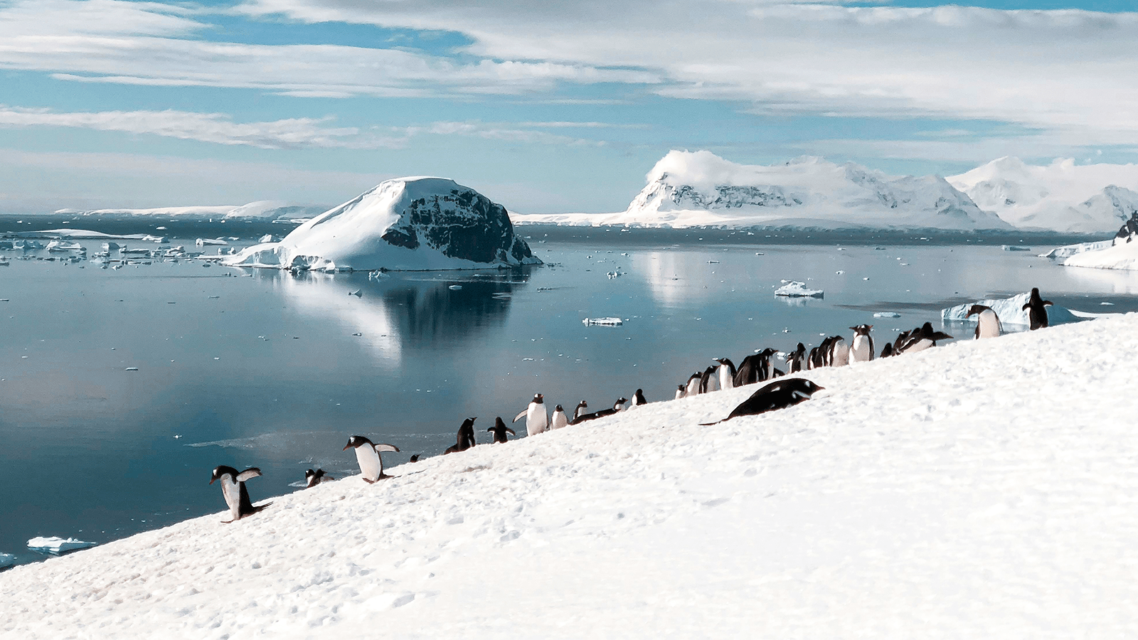 狼百夫長旅遊_極地_南極_南極半島Antarctic Peninsula
