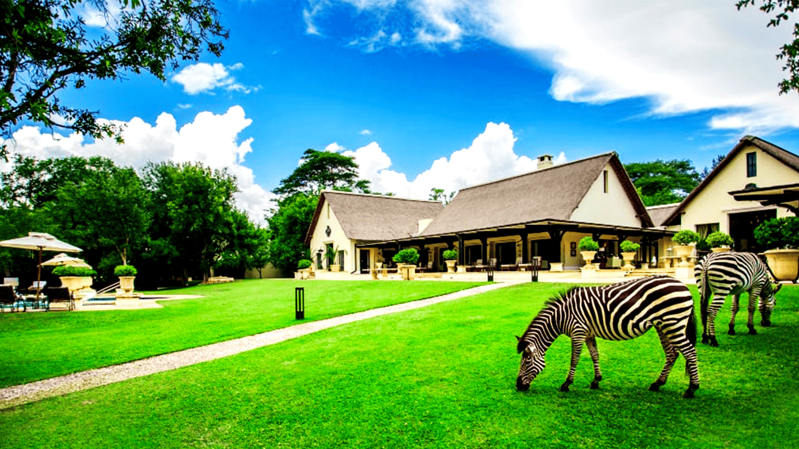 李文斯頓瀑布飯店_斑馬01