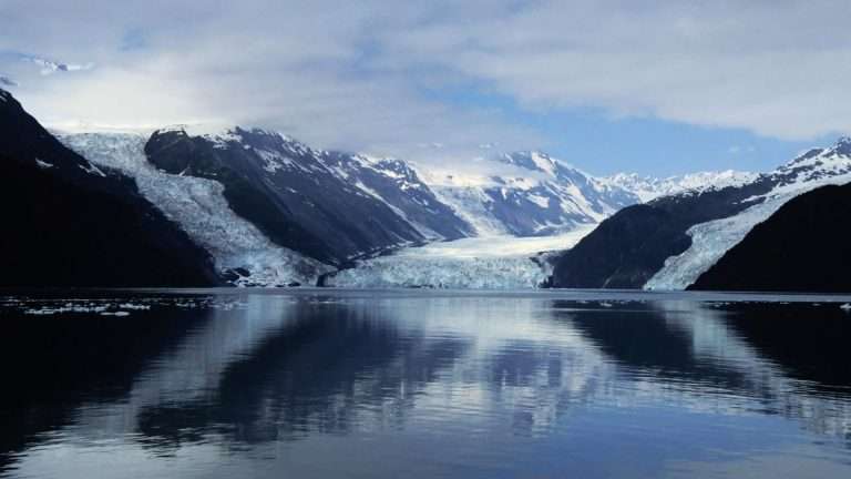 百夫長旅遊_北美_阿拉斯加_棕熊_威廉王子峽灣00