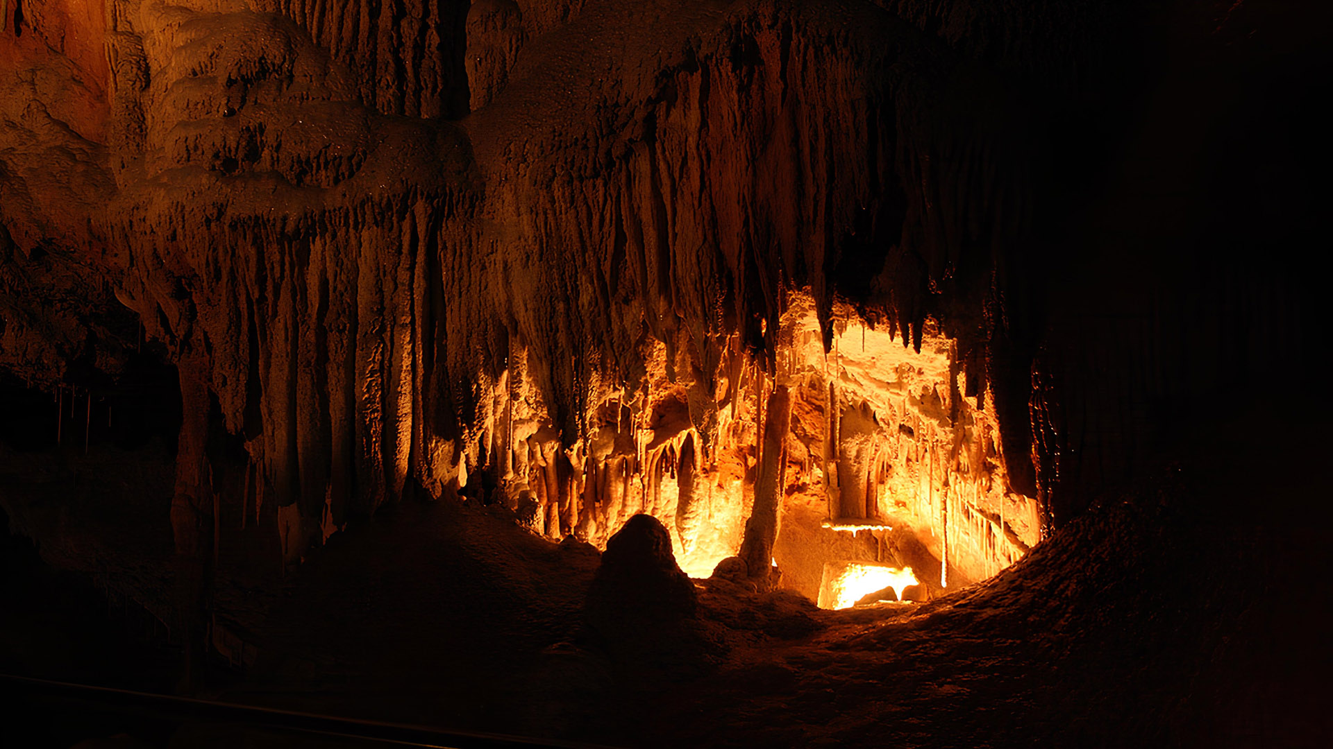 百夫長旅遊_澳洲_塔斯馬尼亞_Mole_Creek_Karst國家公園00