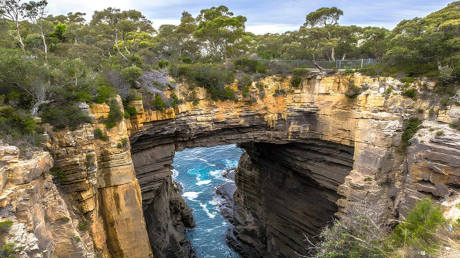 百夫長旅遊_澳洲_塔斯馬尼亞_塔斯曼國家公園Tasman_National_Park00