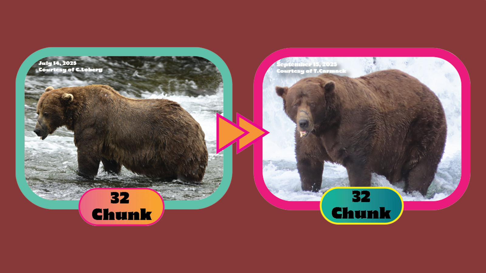 百夫長旅遊_美洲_美國阿拉斯加_卡特邁國家公園_胖雄週選拔chunk