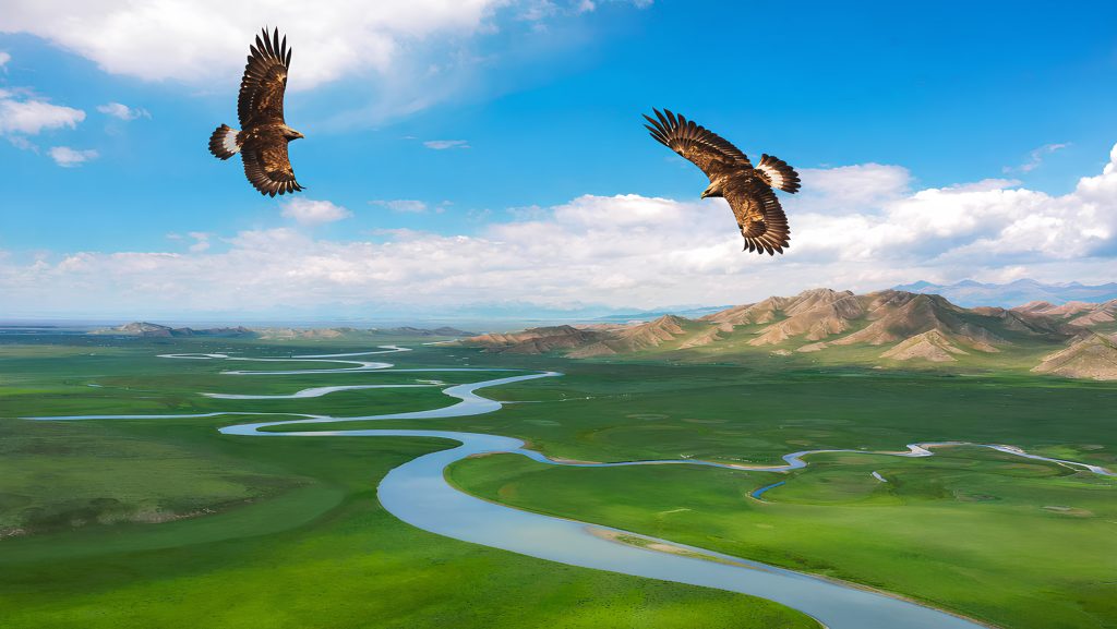 Northern_Xinjiang_16D02L