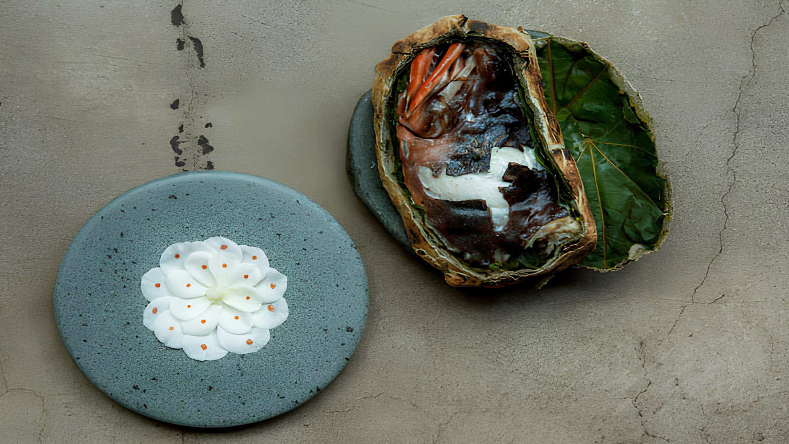 百夫長旅行社_南極半島_WordVovager_聖地牙哥Boragó02