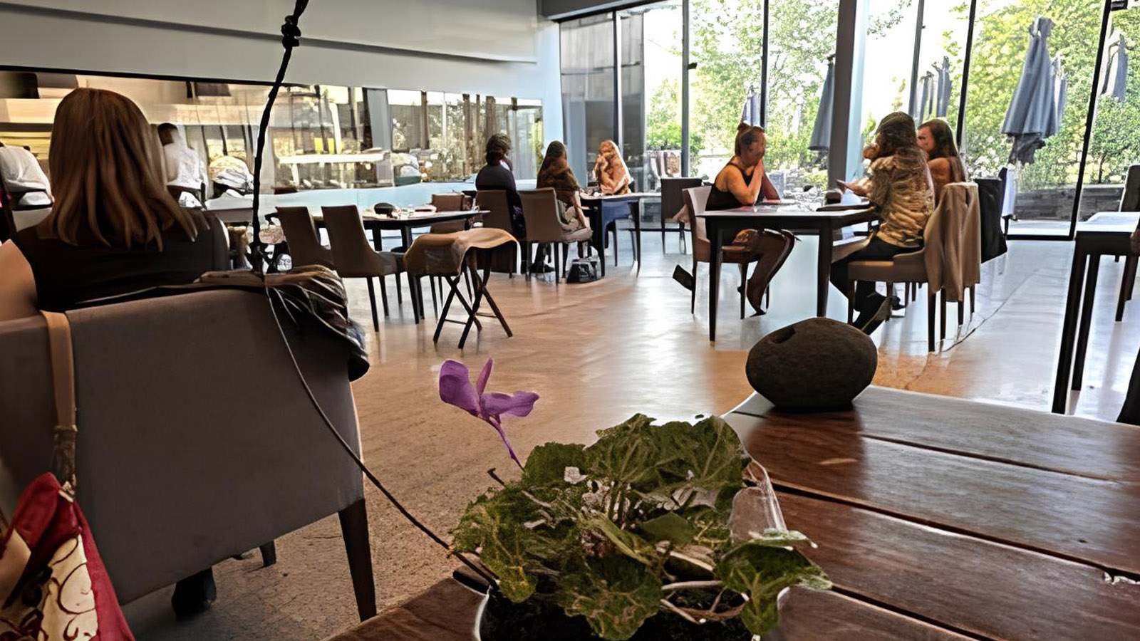 百夫長旅行社_南極半島_WordVovager_聖地牙哥Boragó03