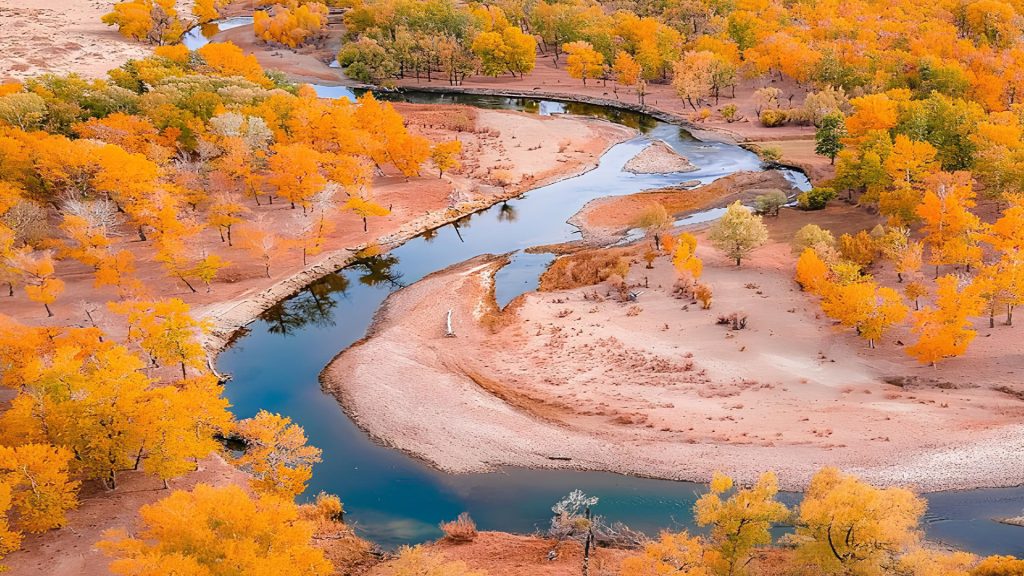 百夫長旅遊_亞洲_新疆_白樺林公園02