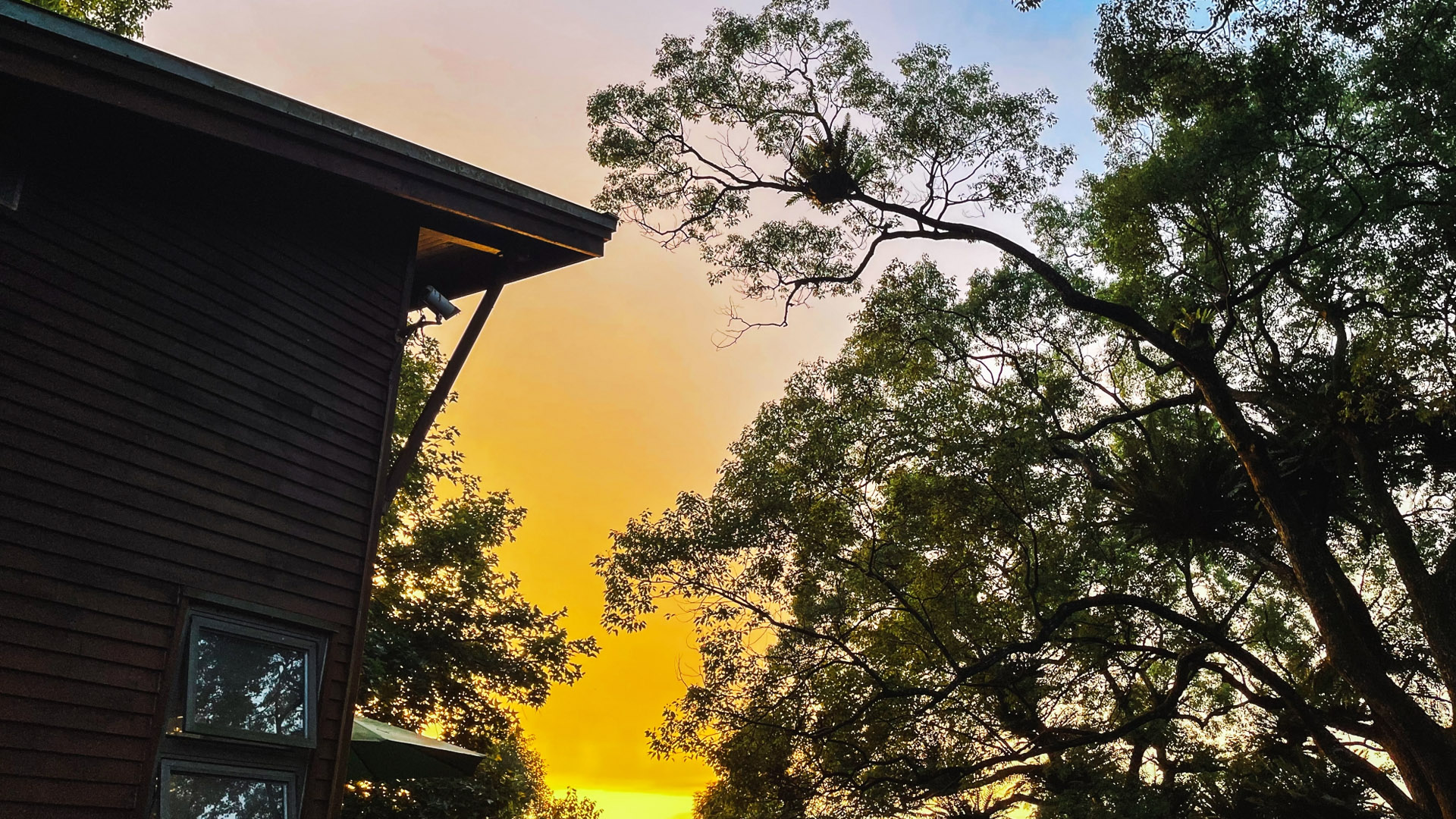 百夫長旅遊_台中_鳳凰谷_蟬說_鳳凰亭序06